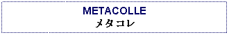 Text Box: METACOLLEメタコレ