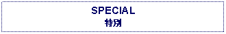 Text Box: SPECIAL特別