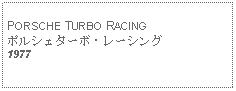 Text Box: PORSCHE TURBO RACINGポルシェターボ・レーシング 1977